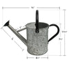 Galvanized Steel Watering Can - Vintage Zinc (One Gallon)